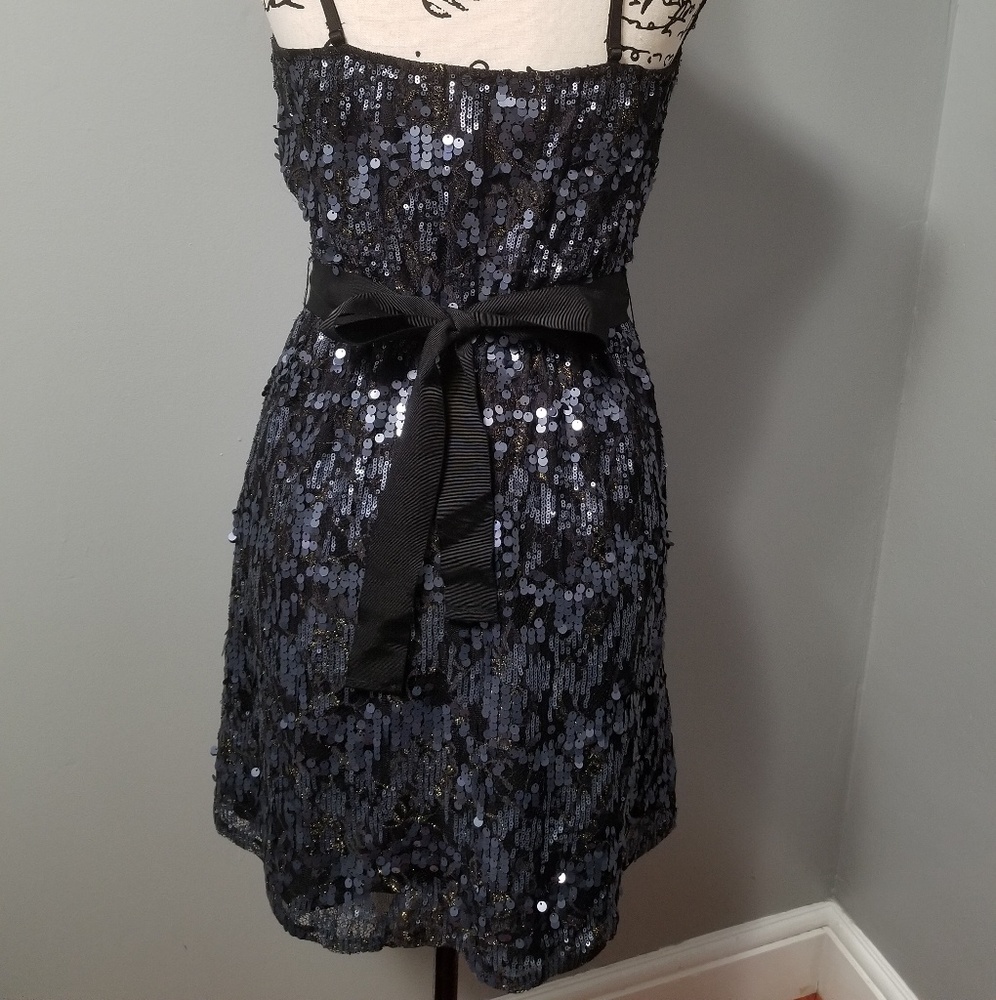 Express  Sequin  Dress - Picture 3 of 7